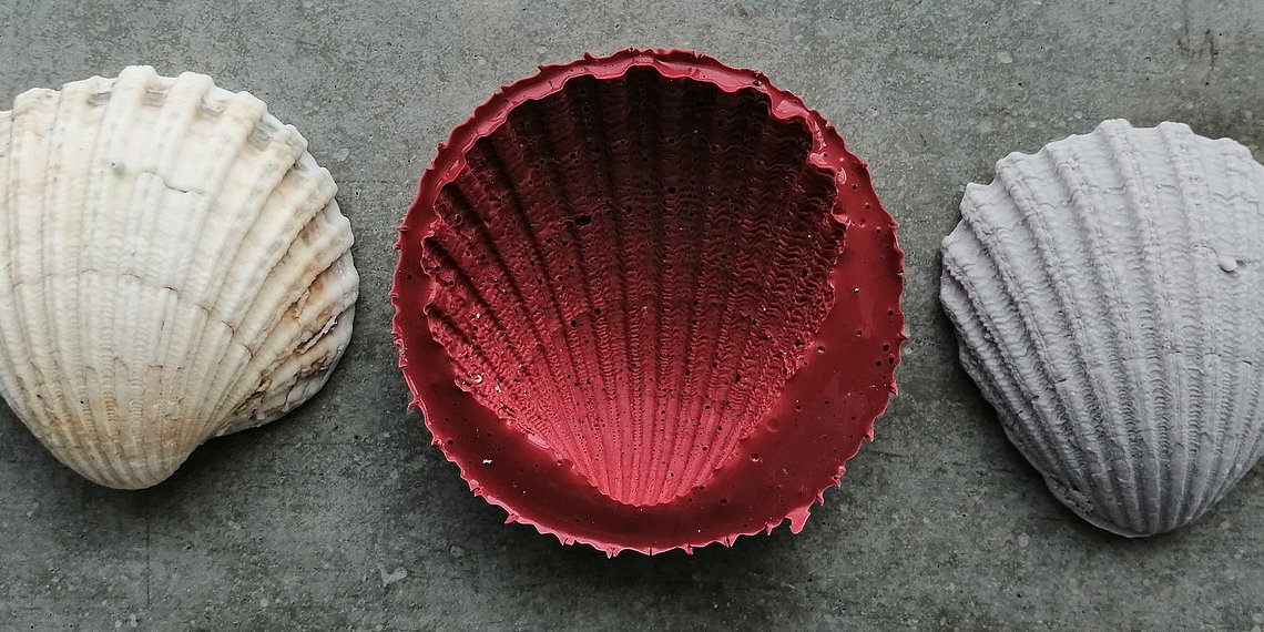 Muscheln mit Siliconformen herstellen