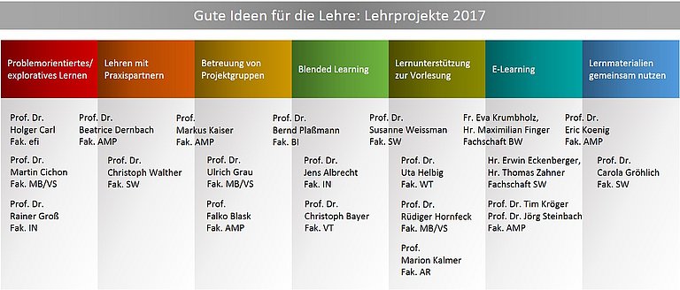 Die Förderung 2017 umfasste 7 Themenfelder, von "Lehrmaterialien gemeinsam nutzen"über "Blended Learning" bis "Betreuung von Projektgruppen"