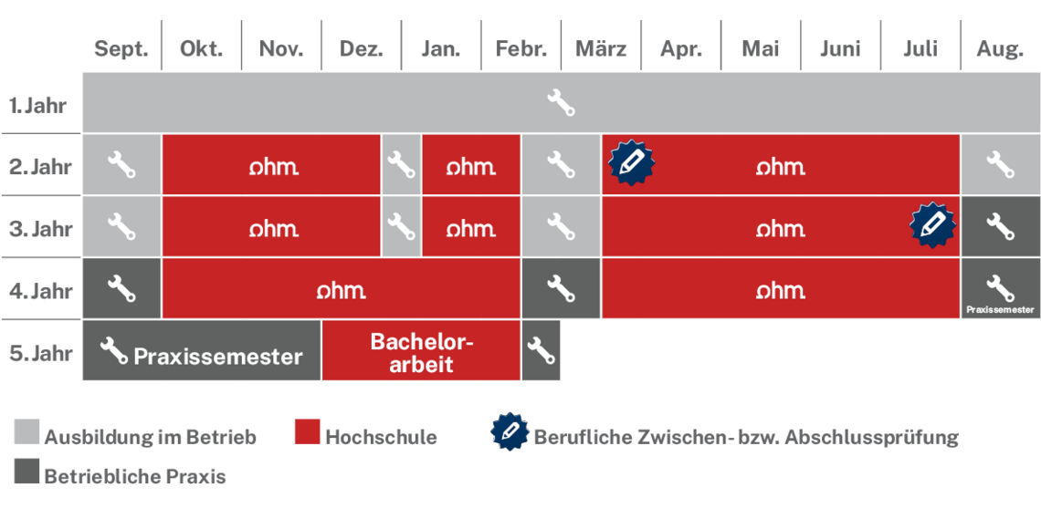 Ablaufplan des dualen Studienangebotes
