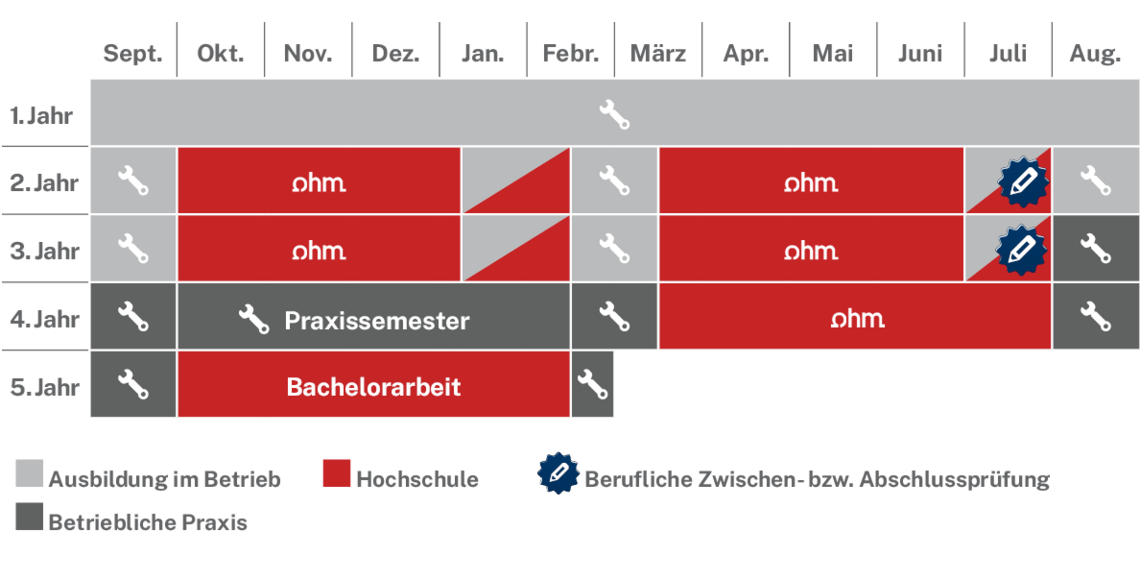 Ablaufplan des dualen Studienangebotes