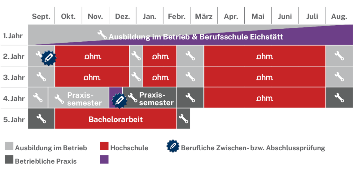 Ablaufplan des dualen Studienangebotes
