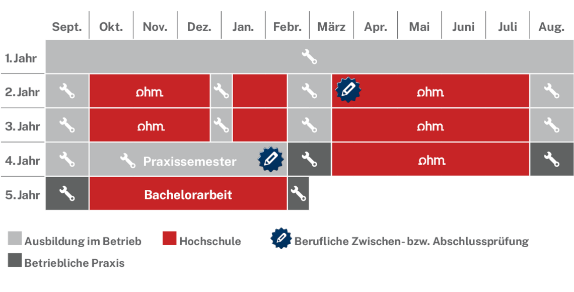 Ablaufplan des dualen Studienangebotes
