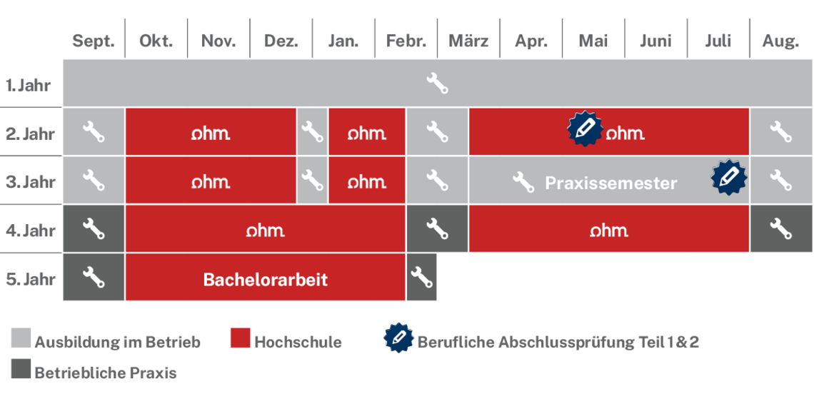 Ablaufplan des dualen Studienangebotes
