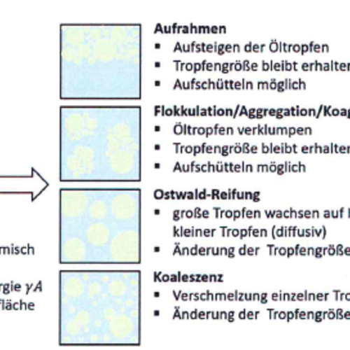 Coverbild zum Projekt "REINE - Rezepturen mit Effizienten Inhaltsstoffen für Nachhaltige Emulsionen"