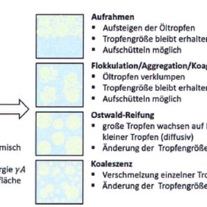 Coverbild zum Projekt "REINE - Rezepturen mit Effizienten Inhaltsstoffen für Nachhaltige Emulsionen"