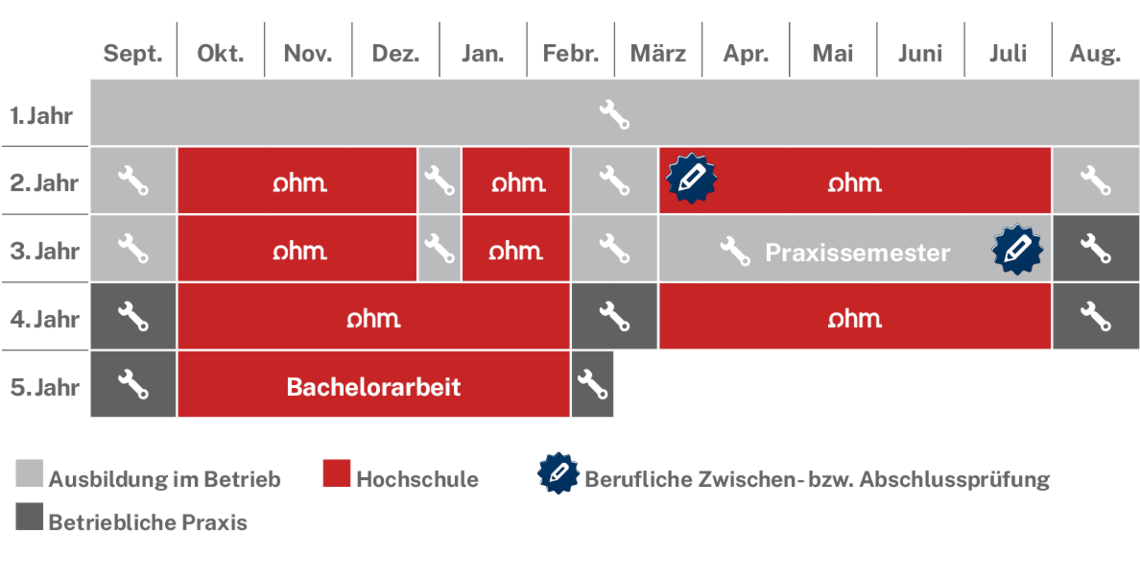 Ablaufplan des dualen Studienangebotes