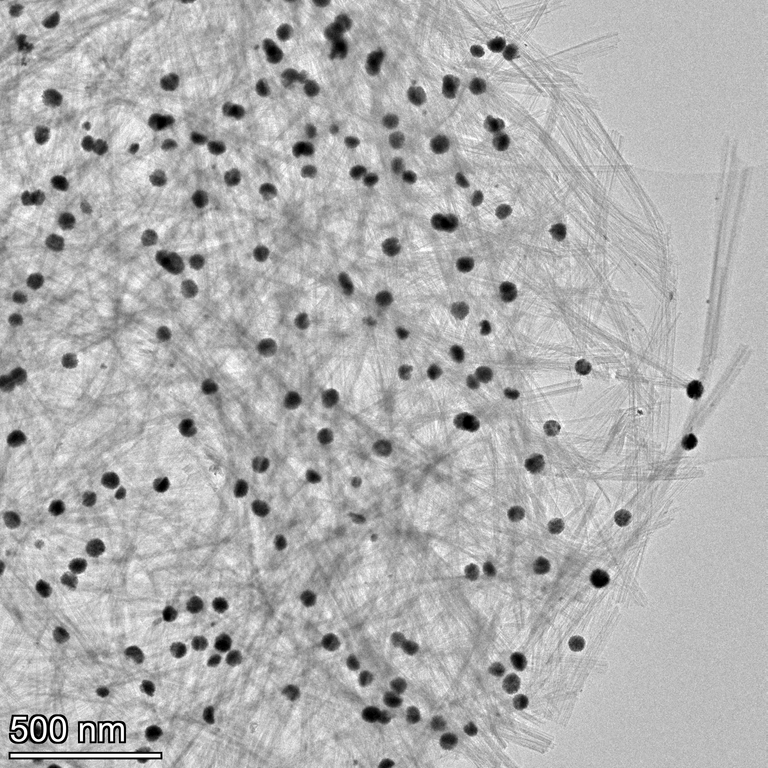 Platin-Partikel auf Titanat-Nanotubes Dr. Haiyan Tan (a) and Assistant Professor Dr. Stefan Schafföner (b,c). a) Thermo Fisher Scientific Center for Advanced Microscopy and Materials Analysis, University of Connecticut, b) Department of Materials Science and Engineering, c) Institute of Materials Science, University of Connecticut