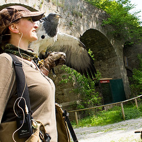 Das Bild zeigt eine Frau mit Vogel auf dem Arm während einer Flugshow.