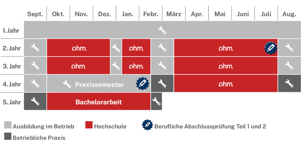 Ablaufplan des dualen Studienangebotes