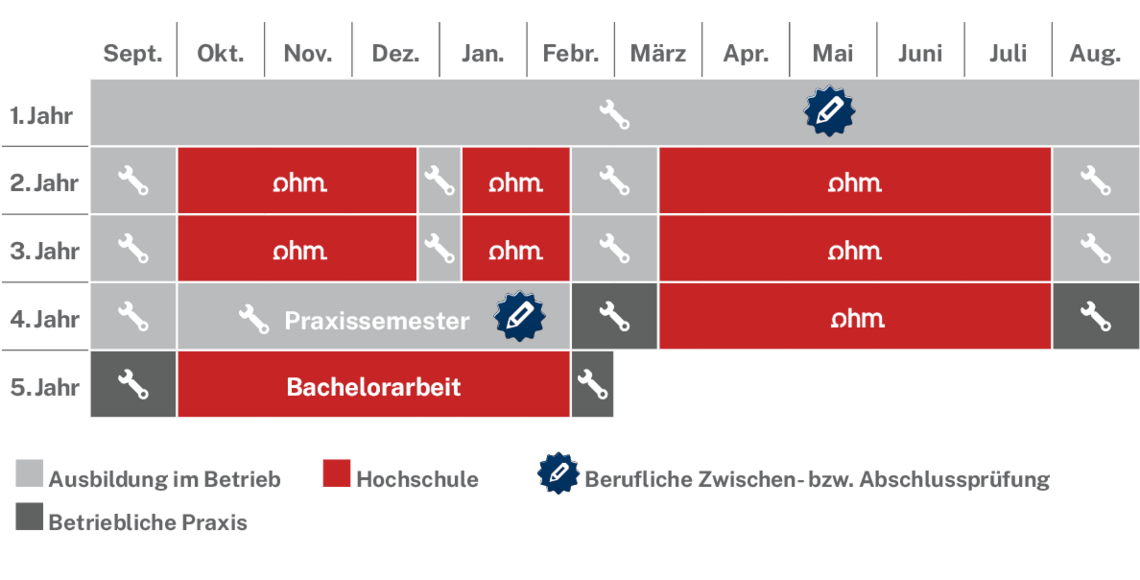 Ablaufplan des dualen Studienangebotes