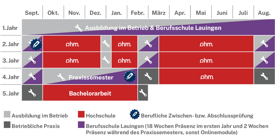 Ablaufplan des dualen Studienangebotes