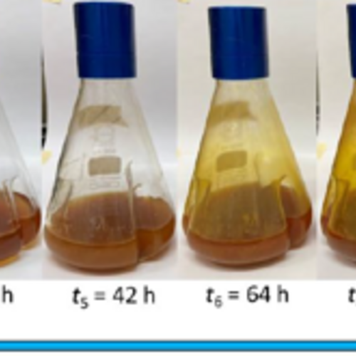 Coverbild zum Projekt "Carbon4Bac - Nutzung des Treibhausgases Kohlendioxid als Rohstoff für bakterielle Bioprozesse" (Acht Kolben mit Flüssigkeiten drin, die von Links nach Rechts dunkler werden in der Farbe)