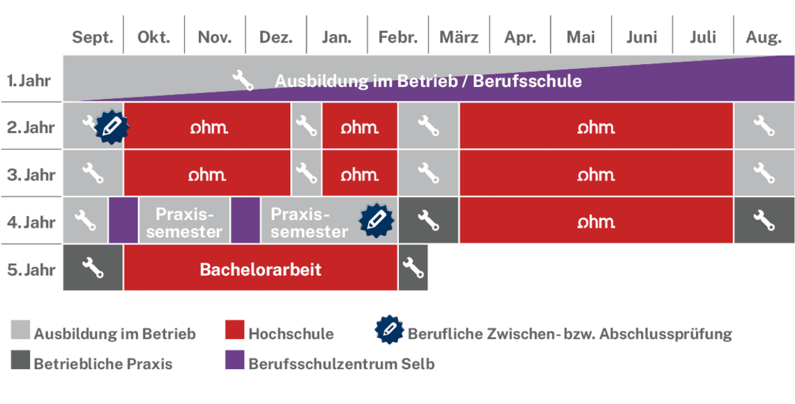 Ablaufplan des dualen Studienangebotes
