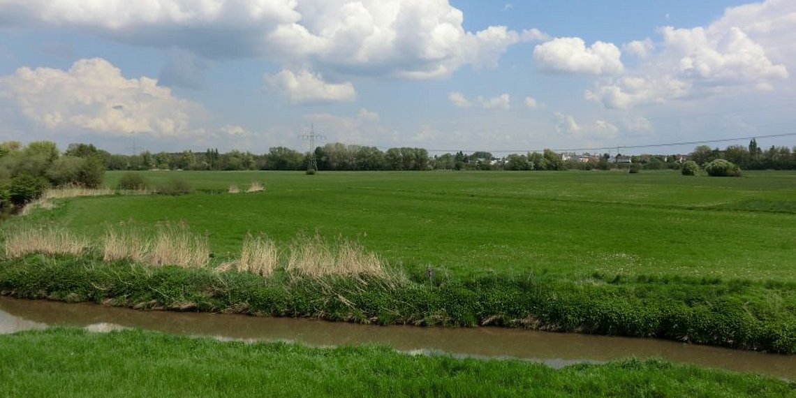 Trassierungsgebiet Regnitztal, eine „grüne Wiese“, aber nicht für den Bau