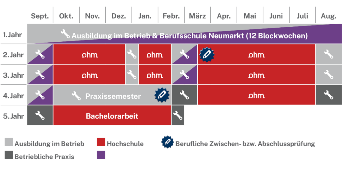 Ablaufplan des dualen Studienangebotes