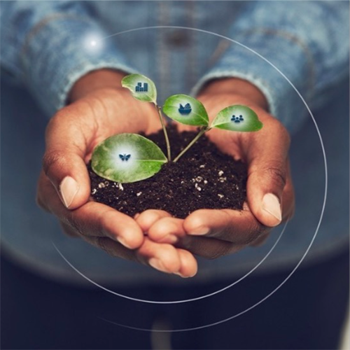 Coverbild zum Projekt "U4IMPACT" (Eine Person hält mit beiden Handflächen einen Erdhaufen mit einem Spreuling drin)