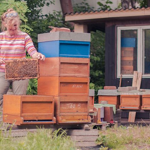 Das Bild zeigt eine Imkerin am Bienenstock.