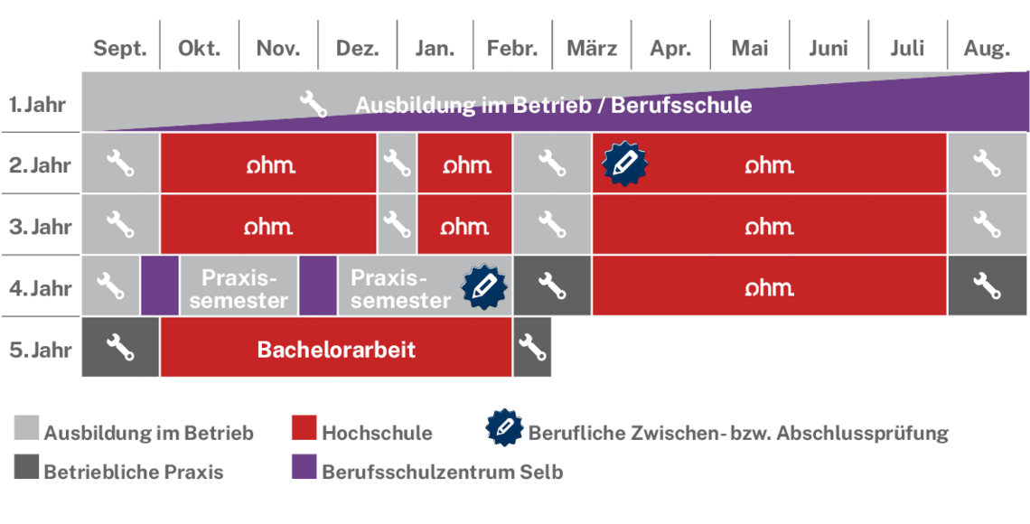 Ablaufplan des dualen Studienangebotes
