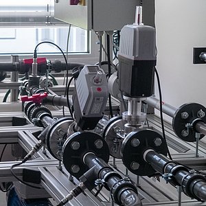 Coverbild zum Projekt "SMEVIVA"