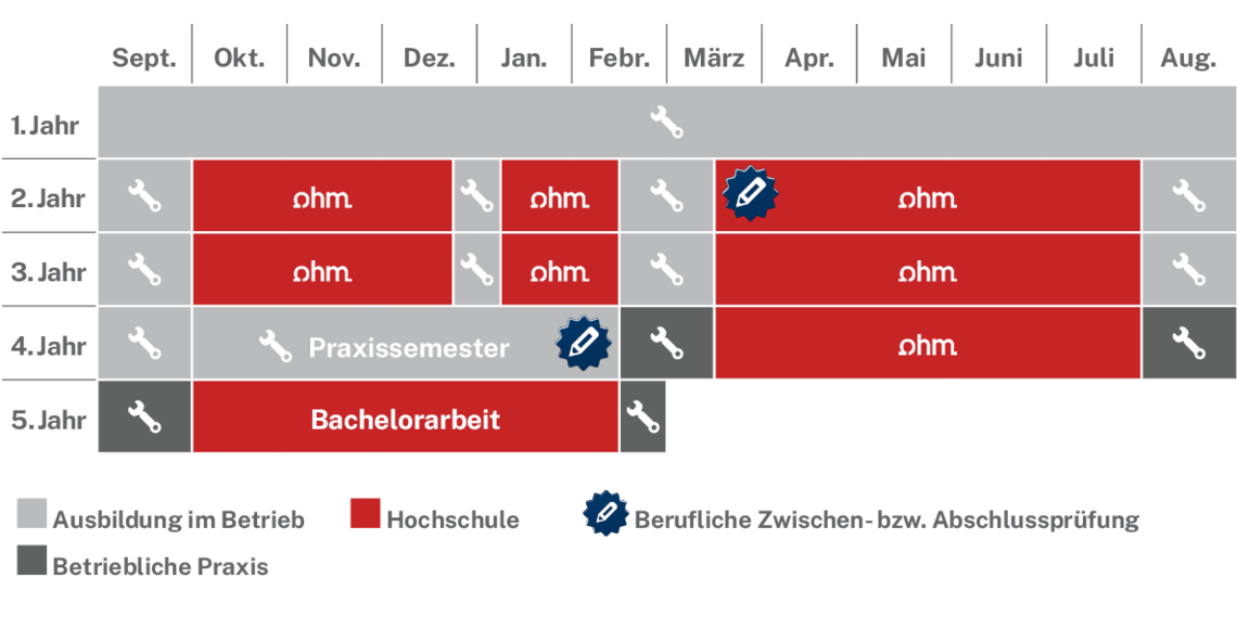 Ablaufplan des dualen Studienangebotes