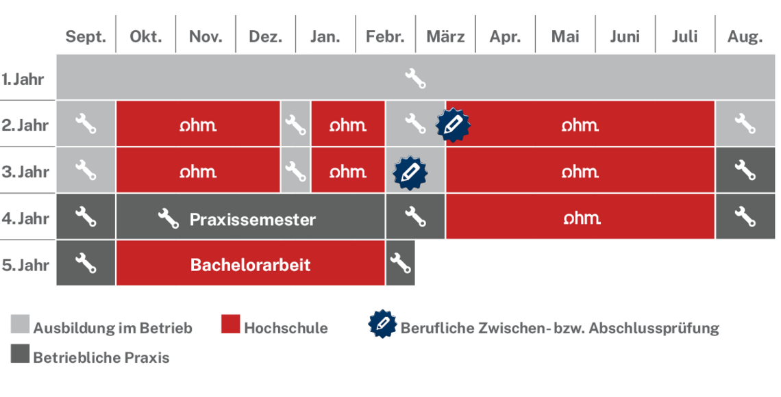 Ablaufplan des dualen Studienangebotes