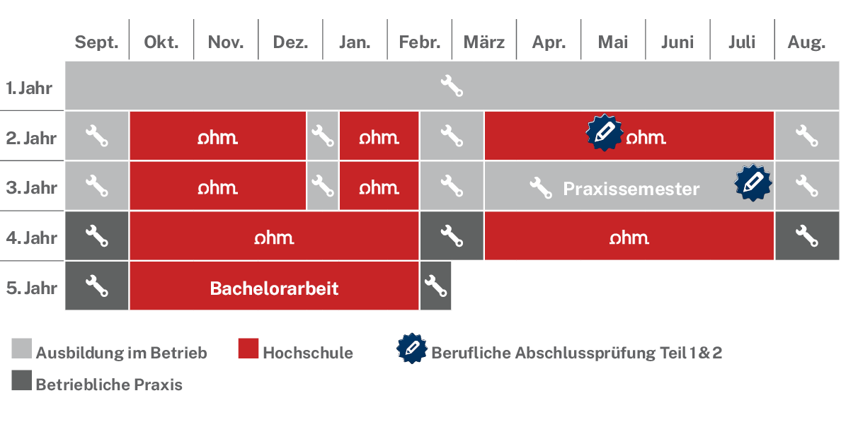 Ablaufplan des dualen Studienangebotes