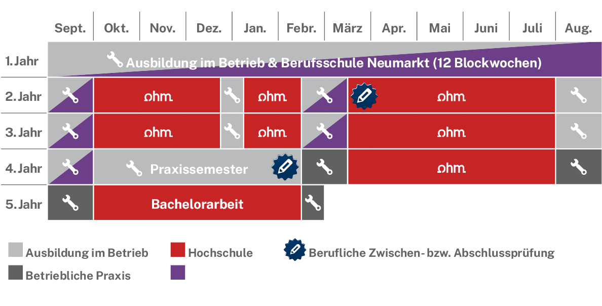 Ablaufplan des dualen Studienangebotes