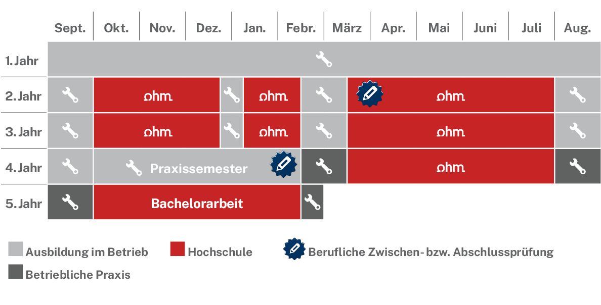 Ablaufplan des dualen Studienangebotes